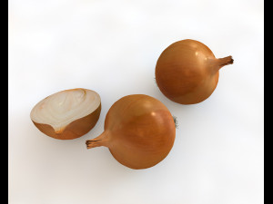 yellow onion Model 3D