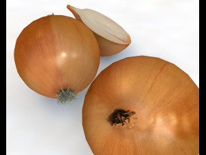 yellow onion Model 3D
