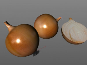 yellow onion Model 3D