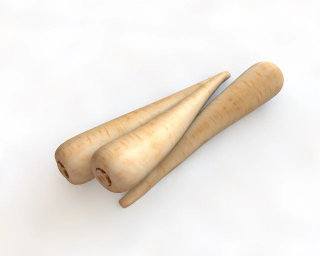 parsnips 3D Model .c4d .max .obj .3ds .fbx .stl .blend 