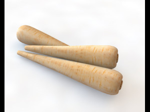 parsnips Modelo 3D