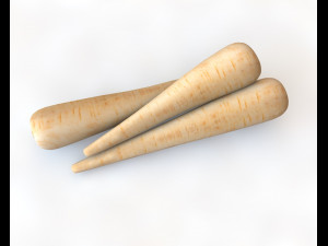 parsnips Modelo 3D