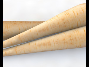 parsnips Modelo 3D