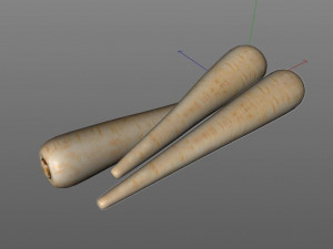 parsnips Modelo 3D