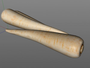 parsnips Modelo 3D