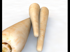 parsnips Modelo 3D