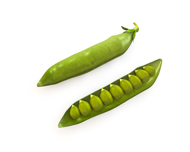 green peas 3D 模型 .c4d .max .obj .3ds .fbx .stl .blend 