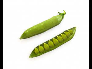 green peas 3D Model