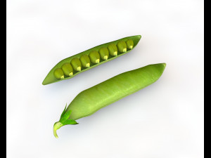 green peas 3D 模型