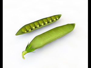green peas 3D 模型