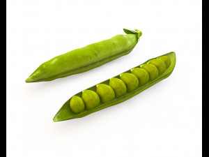 green peas 3D 模型