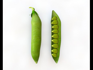 green peas 3D 模型