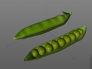 green peas 3D 模型