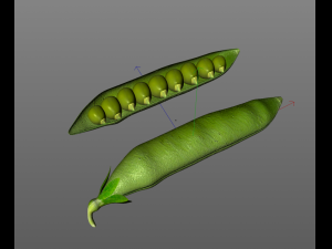 green peas 3D 模型