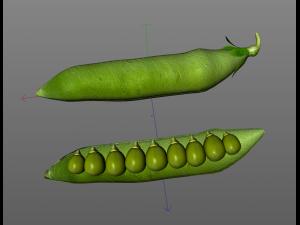 green peas 3D 模型