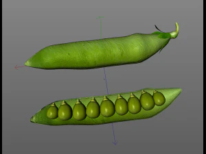 green peas 3D Model