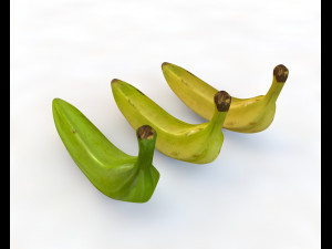 plantain yellow and green 3D Model