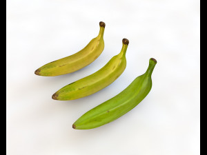 plantain yellow and green Model 3D