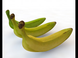 plantain yellow and green Model 3D