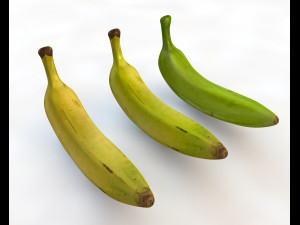plantain yellow and green Model 3D