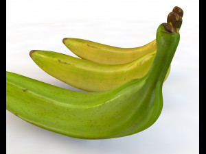 plantain yellow and green Model 3D