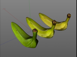 plantain yellow and green Model 3D