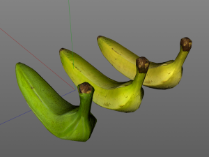 plantain yellow and green Model 3D