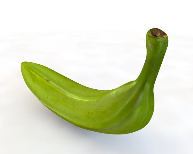 plantain green 3D Model .c4d .max .obj .3ds .fbx .stl .blend 