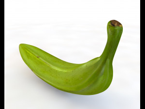 plantain green 3D Model