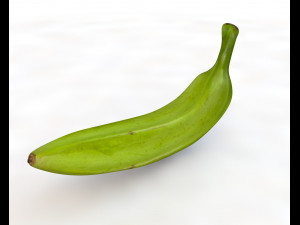 plantain green 3D Модель