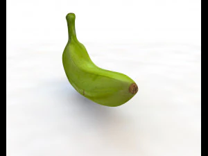 plantain green 3D Model