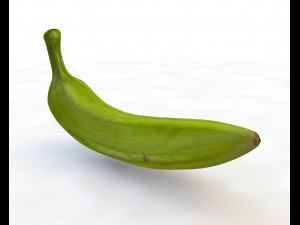 plantain green 3D Модель
