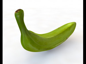 plantain green 3D Модель