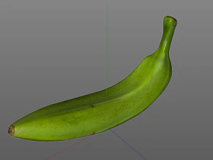 plantain green 3D Model