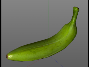 plantain green 3D Модель