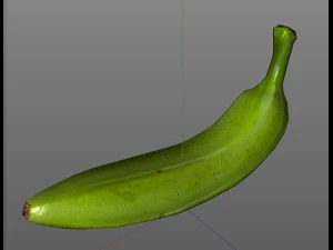 plantain green 3D Model