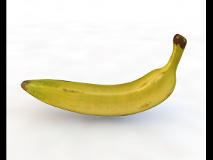 plantain yellow 3D 模型