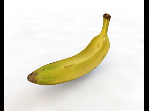 plantain yellow 3D 模型