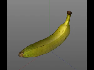 plantain yellow 3D Model