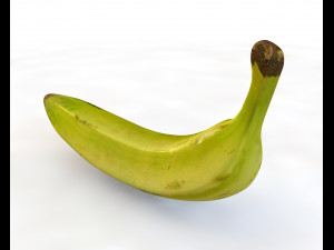 plantain yellow green 3D Model