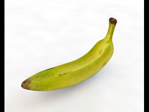 plantain yellow green 3D Model