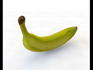 plantain yellow green 3D Model