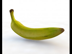 plantain yellow green 3D Model