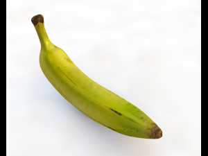 plantain yellow green 3D Model