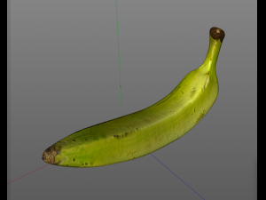 plantain yellow green 3D Model