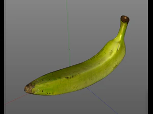plantain yellow green 3D Model