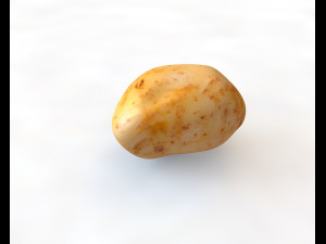 potato v1 3D 模型