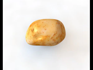 potato v1 3D Model