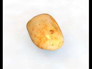 potato v1 3D Model