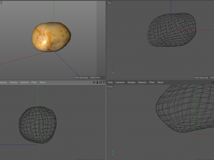 potato v1 3D 模型